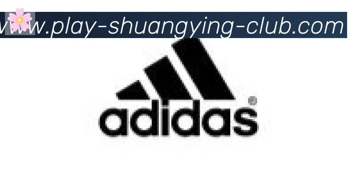 双赢彩票入口合作伙伴